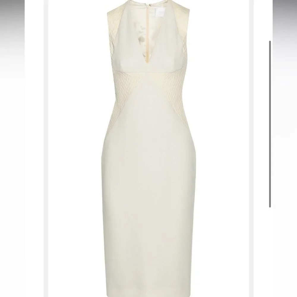 Cushnie Et Ochs Fishnet Leather & Wool Crepe Paneled Dress Ivory Size 6